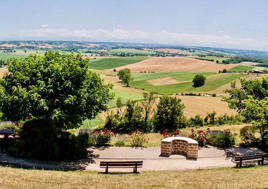 08-2026-solenca