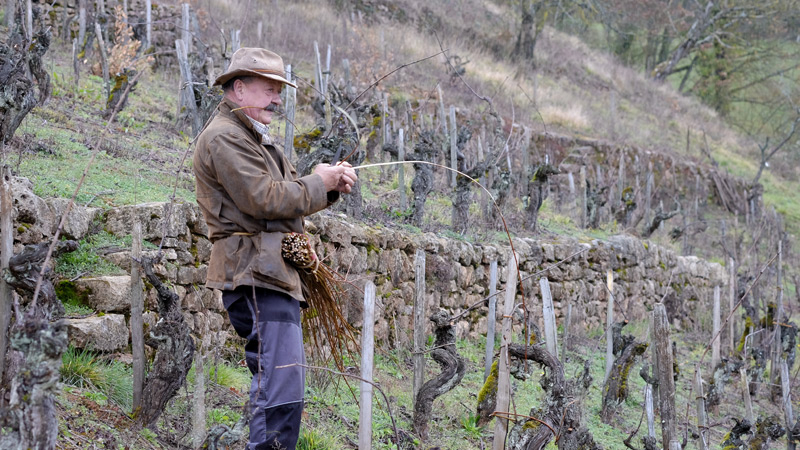 top1-3-aveyron.jpg
