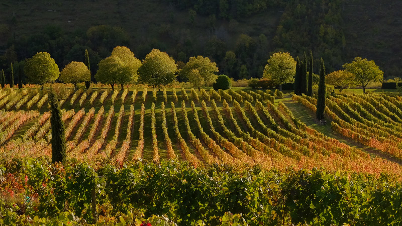 top1-4-aveyron.jpg