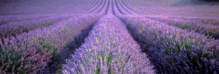 Provence Luberon